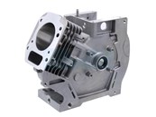 Carter cylindre pour moteur Briggs & Stratton (699510)