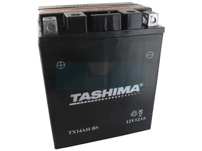 Batterie plomb étanche haute performance sans entretien 12V, 12Ah (FTX14AHBS)