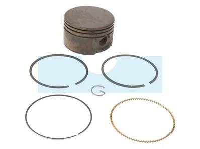 Kit piston segments pour moteur Briggs & Stratton (795429)