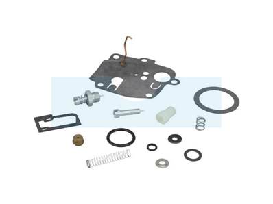 Kit réparation pour carburateur Briggs & Stratton (494623)