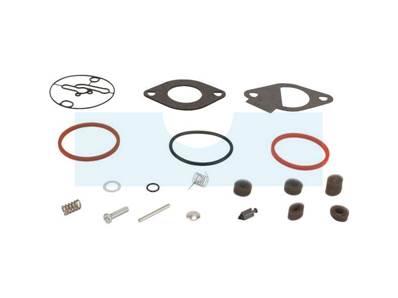 Kit réparation de carburateur pour Briggs & Stratton (796184)