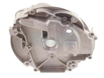 Carter pour moteur Briggs & Stratton (793509)