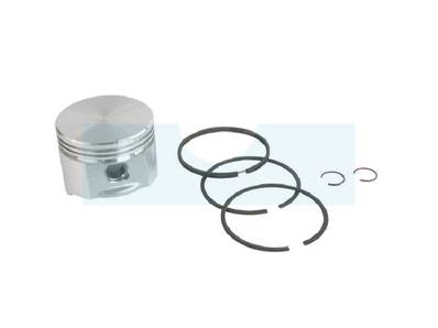 Piston pour moteur Briggs & Stratton (499292)