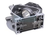 Carter cylindre pour moteur Briggs & Stratton (699510)