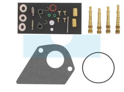 Kit réparation carburateur pour moteur Briggs & stratton (497535)