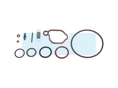 Kit réparation pour carburateur Briggs & Stratton (590589)