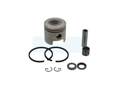 Piston pour Echo (P021047540)