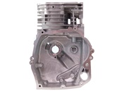 Carter cylindre pour moteur Briggs & Stratton (697322)