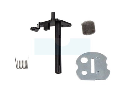 Kit de starter pour Briggs & Stratton (698778)