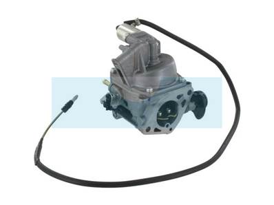 Carburateur pour moteur Honda (16100ZJ1843)