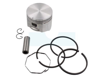 Kit piston segments pour moteur Briggs & Stratton (391289)