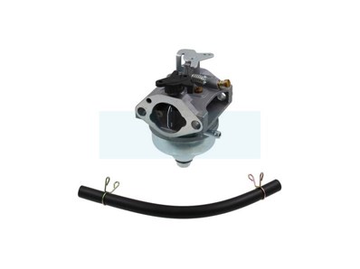 Carburateur pour moteur Honda (16100Z0Y813)