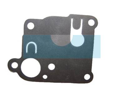 Membrane pour moteur Briggs & Stratton (270253)