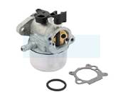 Carburateur pour moteur Briggs & Stratton (790978)