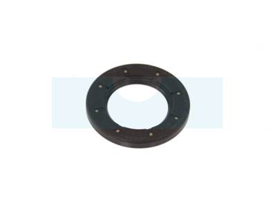 Joint spi pour moteur Briggs & Stratton (495307)