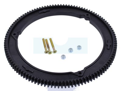 Couronne de démarreur pour moteur Briggs & Stratton (499612)