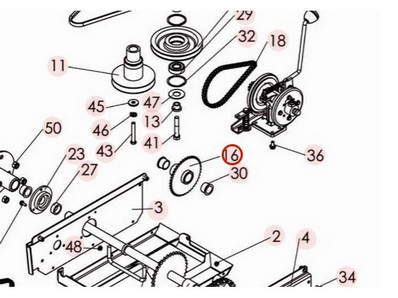 Pignon fou pour tondeuse débroussailleuse Sarp (0306050021)