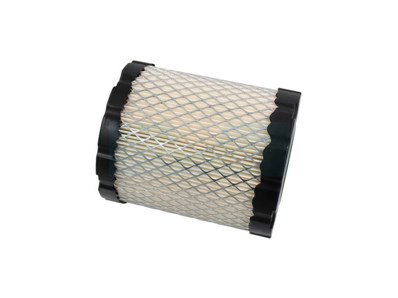 Filtre à air pour moteur Briggs & Stratton (794935)