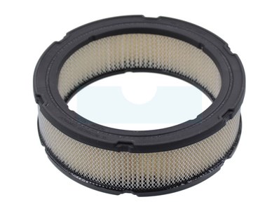 Filtre à air pour moteur Briggs & Stratton (841359)