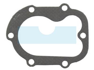 Joint de culasse pour moteur Briggs & Stratton (27463)