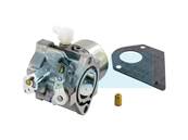 Carburateur pour moteur Briggs & Stratton (495778)