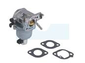 Carburateur pour moteur Briggs & Stratton (699807)