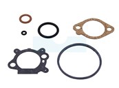 Kit réparation carburateur pour moteur Briggs & stratton (498260)