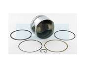 Piston pour moteur Briggs & Stratton (795430)