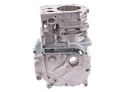 Carter cylindre pour moteur Briggs & Stratton (697322)