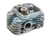 Culasse pour moteur Briggs & Stratton (809200)