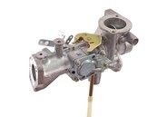 Carburateur pour moteur Briggs & Stratton (495459)