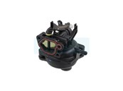 Carburateur pour moteur Briggs & Stratton (84001032)