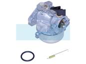 Carburateur pour moteur Briggs & Stratton (497353)