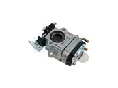 Carburateur pour moteur MTD (09263583)