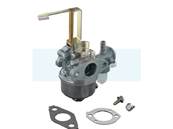 Carburateur pour moteur Briggs & Stratton (698558)