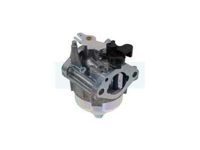 Carburateur pour moteur Honda (16100-Z9P-811)