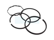 Kit piston segments pour moteur Briggs & Stratton (391289)