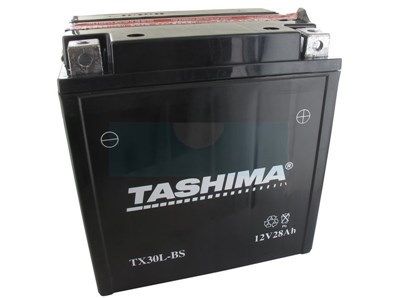 Batterie plomb étanche sans entretien 12V, 30Ah (FTX30LBS)